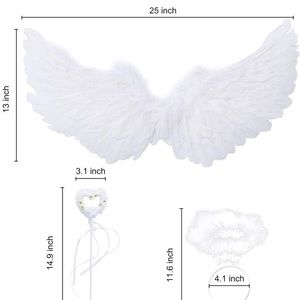 White Angel Wings and Halo